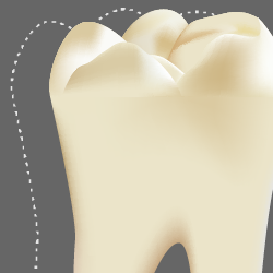 tooth